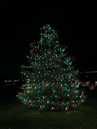 Large Tree Christmas Lights