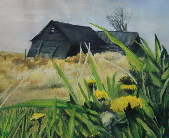 Where the Rabbits Roam