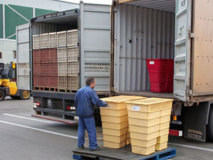 Venta de Gaylords en Matamoros: Soluciones Eficientes para el Almacenamiento y Transporte