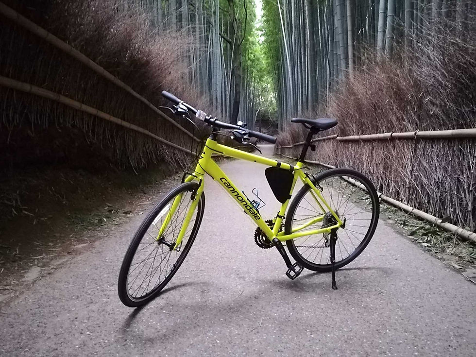 Bamboo Forest in Arashiyama with Kyoto Bike Tour