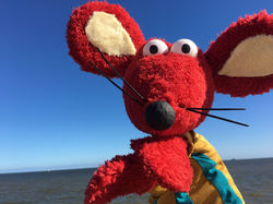 WhatsApp Image 2021-10-19 at 18.11.41