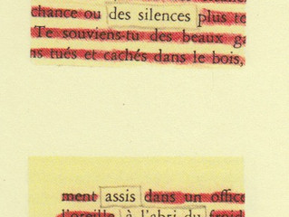 ARIA DE LAINE. POÈMES DÉCOUPÉS DANS MARIA CHAPDELAINE, de Marie-Ève Bouchard
