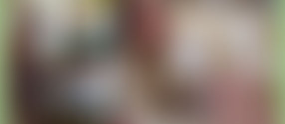 À Dordives, une grainothèque à la bibliothèque pour "semer le partage, récolter l'avenir"