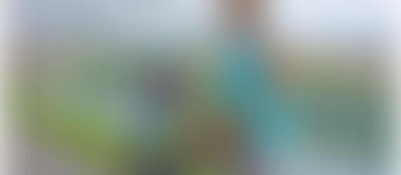 À Amilly, "Plat net Green" et "Moni le jardinier" ont le sourire !