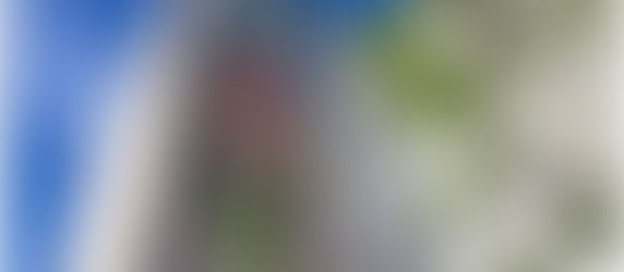 Le festival de Street Art a commencé à Montargis et le "clown" de la rue de Greven connait