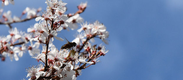 3EME FORUM DE L'ENVIRONNEMENT ET DU DÉVELOPPEMENT DURABLE