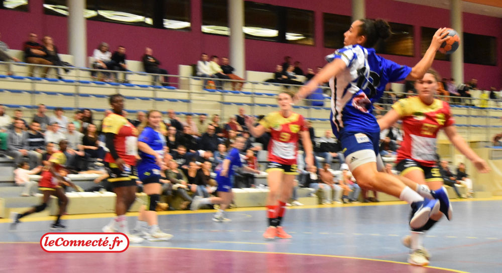 Handball Nationale 3 Montargis en réussite sur les terres de la