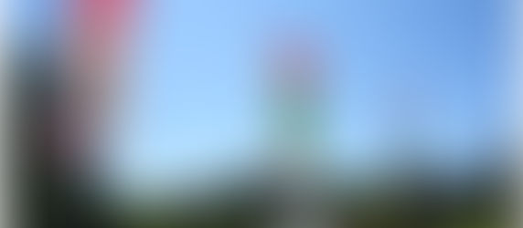 Les 29 et 30 août, l'arboretum des barres voit la vie en rose ! Visite, animations et concert.