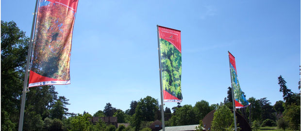 Les 29 et 30 août, l'arboretum des barres voit la vie en rose ! Visite, animations et concert.