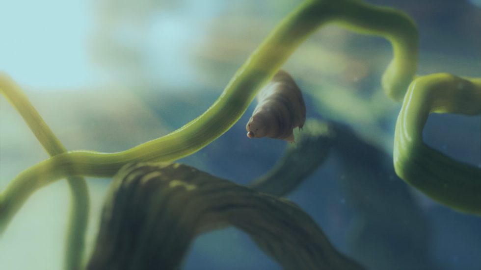 Marigold Productions - Tardigrade