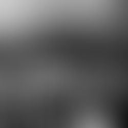 NEW AND FUNKY: Tom McGuire & The Brassholes - '24/7' (single)