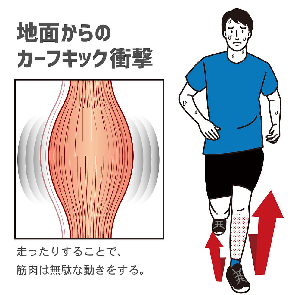 Thumbnail: Gaiter Socks & PRO5 Set