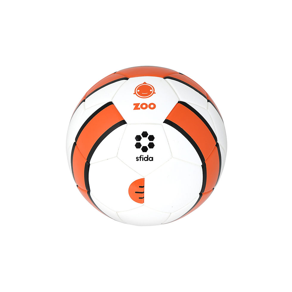 Thumbnail: Football Zoo Airless MiniBall - Clown Fish