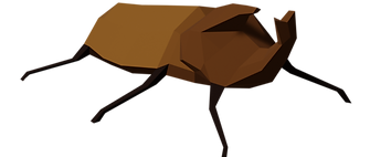 Dit is Rino, de Rhinoceros Beetle.