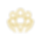 Untitled-1 copy.png