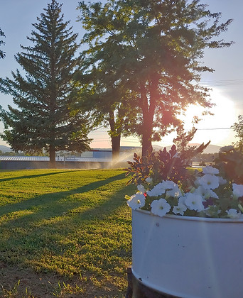 0710231959b_HDR.jpg