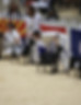 queenie flags.JPG