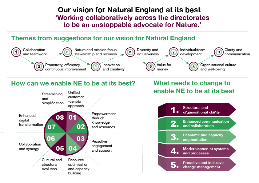 Natural England — Biodiversity Metric Group workshop; Workshop visualisation series, 2023; image 3 of 9