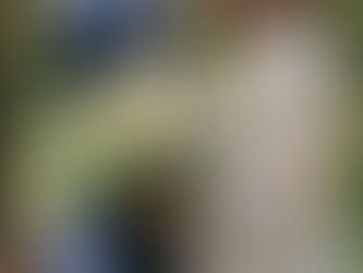 2024年1月 IBJ会員活動 最新データ♡