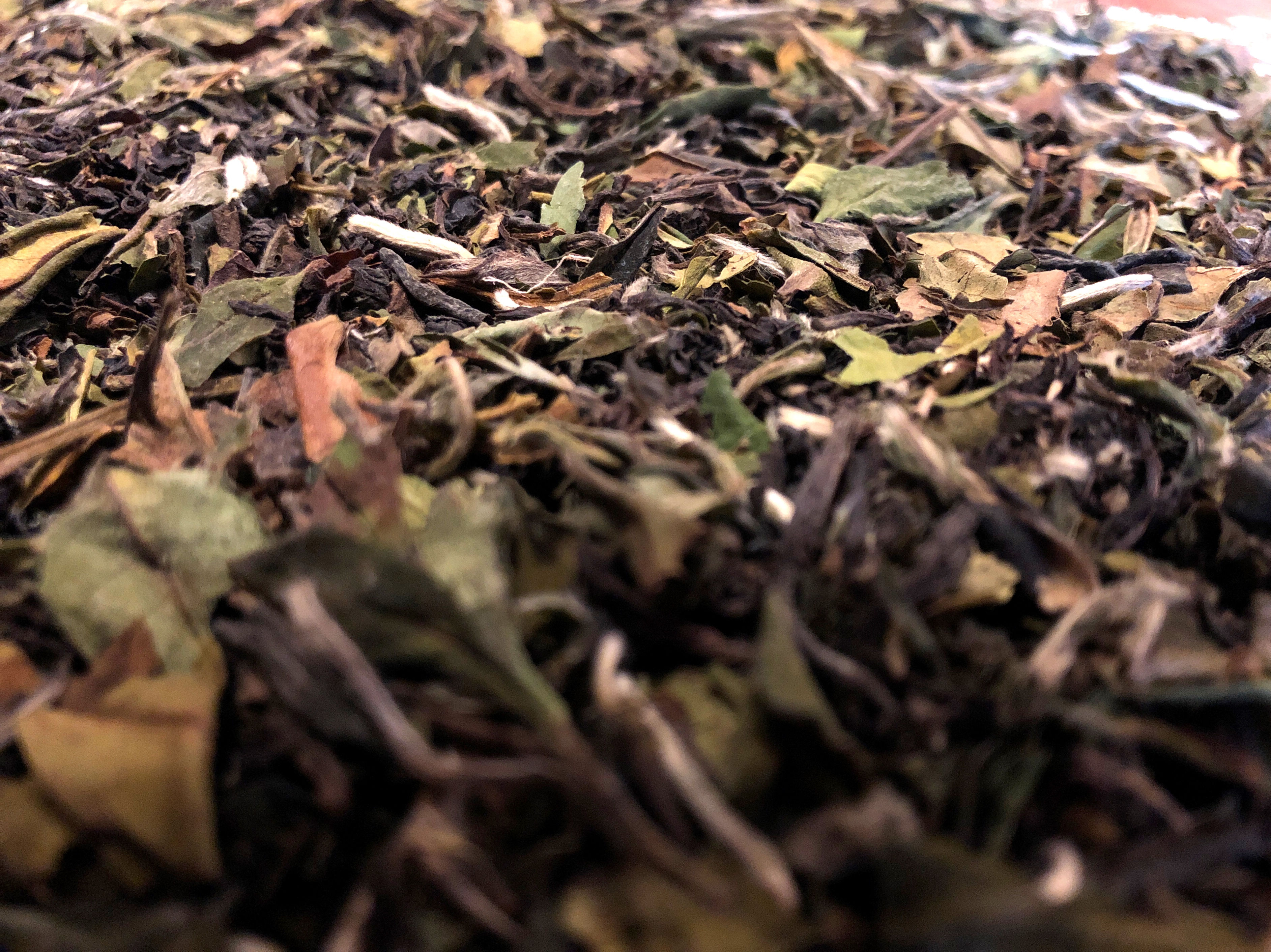 Ghostly Basilica — Black & White Blend