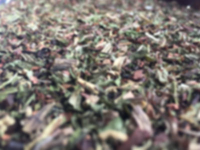 Minthe's Tears — Peppermint Honeybush