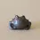 Thumbnail: Frog/Toad Tea Pet