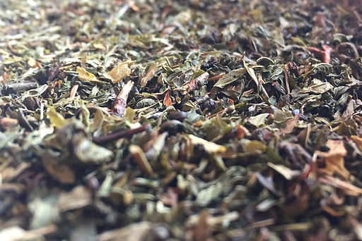 Moroccan Mint — Spearmint Green | Phoenix Pearl Tea