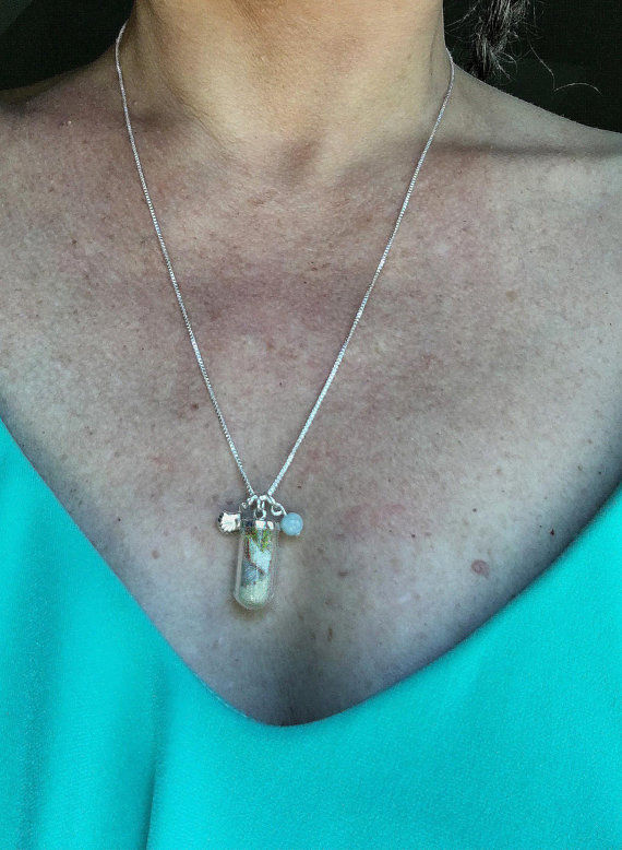Thumbnail: Beach Shell Terrarium Sterling Silver Necklace