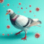 ree