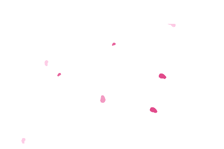 Untitled design (1).gif