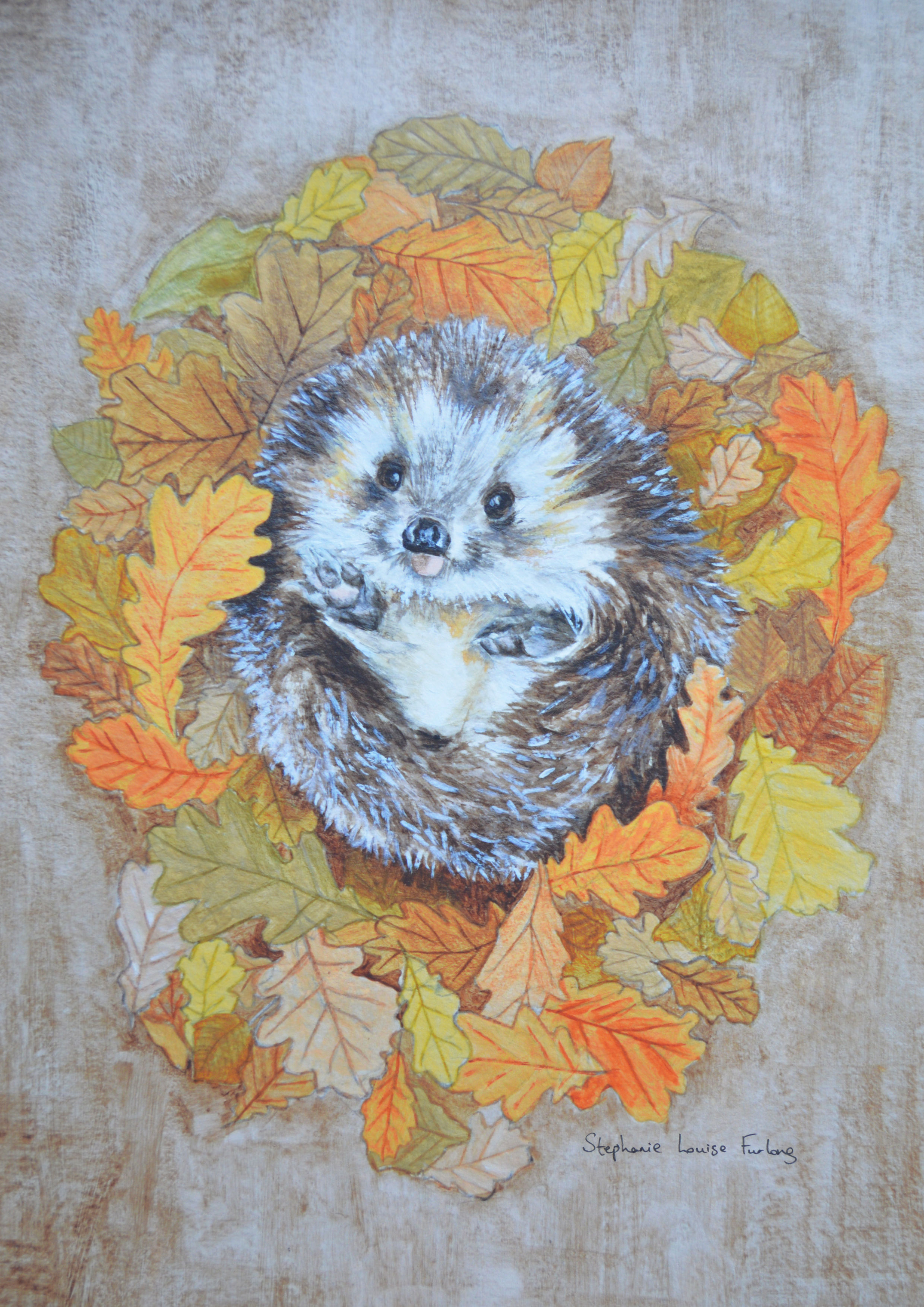 Hedgehog Print