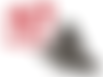 Koji tip dlake ima moj pas