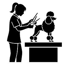 Mašinice za šišanje pasa kod kuće