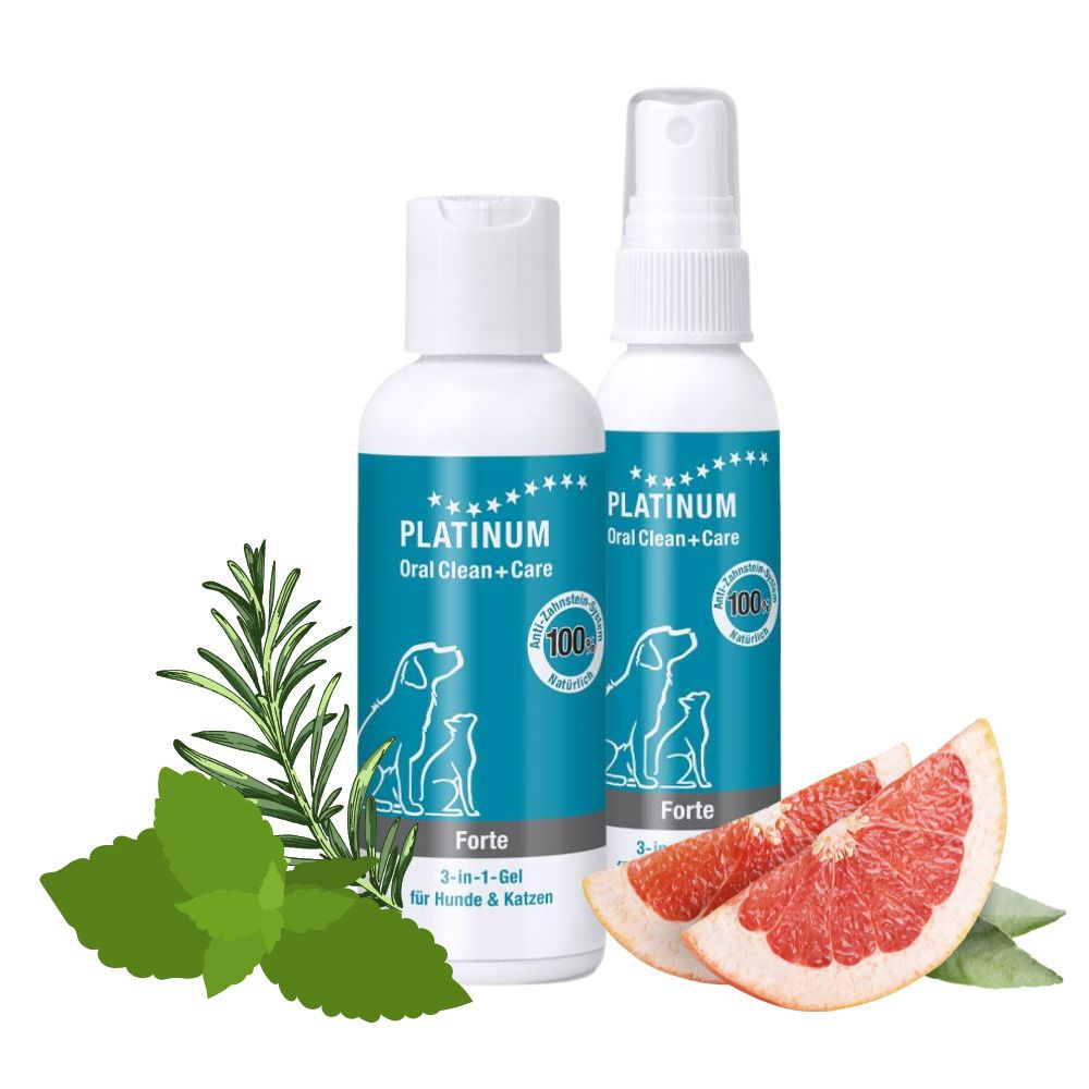 PLATINUM Oral Clean Forte - gel i sprej za zube - za pse i mačke