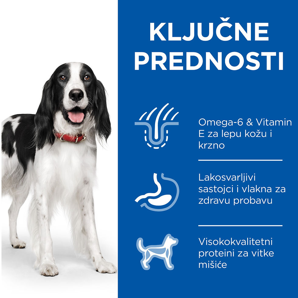 Thumbnail: Hill's SC Medium Adult - hrana za odrasle srednje pse - jagnjetina - 2.5/14 kg