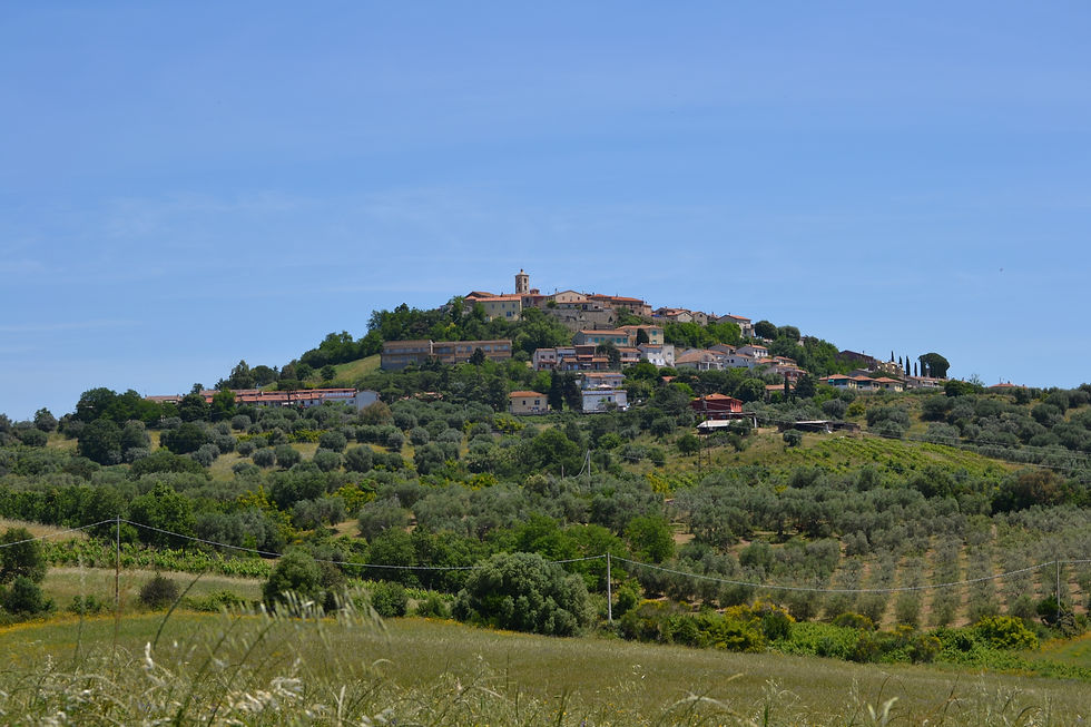 DSC_2645.JPG