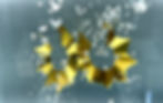 6554B9A7-F80E-467A-A6B2-A2F1CF40BD44_1_105_c_edited.jpg