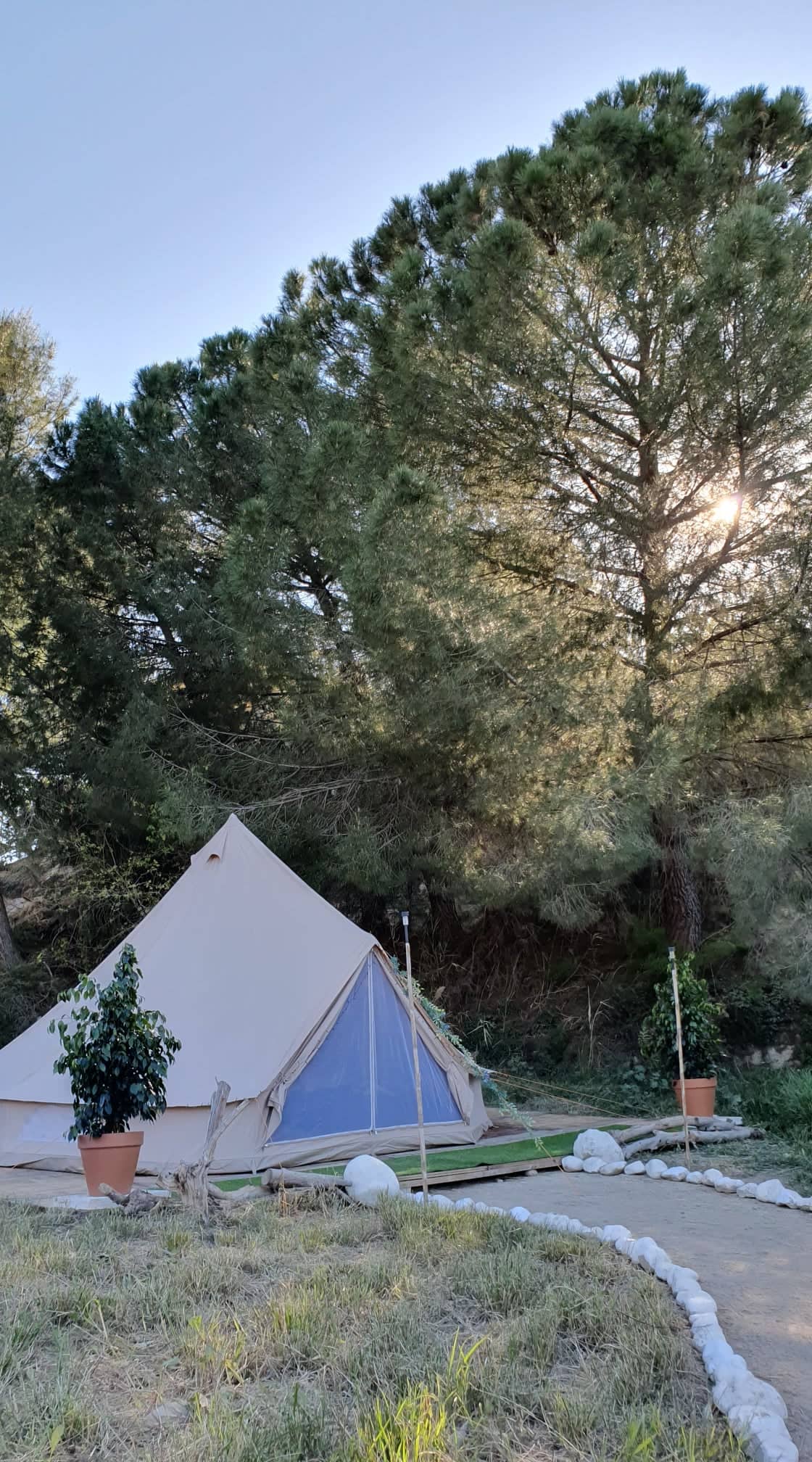 Jacobs Ridge Animal Sanctuary Volunteer