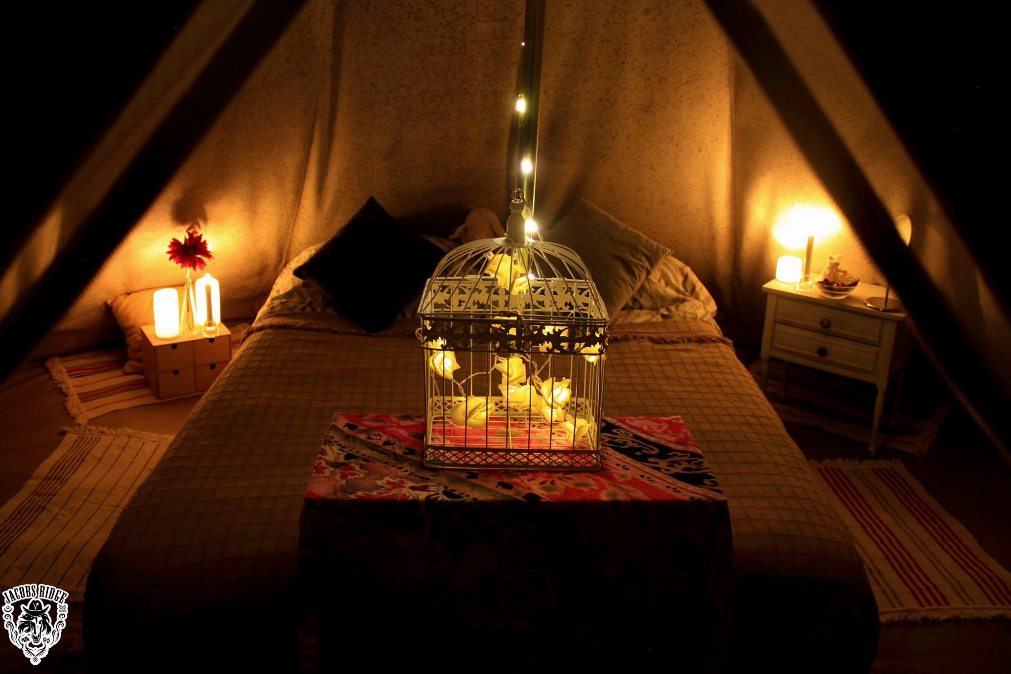 Jacobs Ridge Animal Sanctuary Volunteer