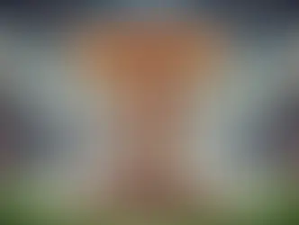 להימנע מרוטציה