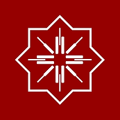 Tüdav resmi logosu BORDO 2160x2160.png