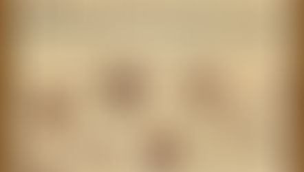 The Politics of Fighting