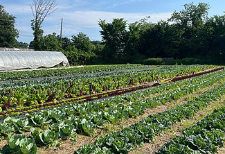 AB0FB6CA-F5D7-4D9C-9774-5EAF080AA149 2.JPG