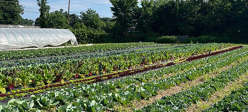 AB0FB6CA-F5D7-4D9C-9774-5EAF080AA149 2.JPG