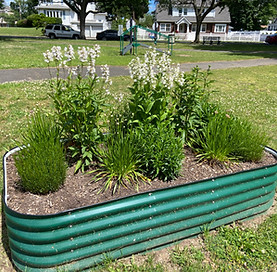 Amistad Park Planter.jpg