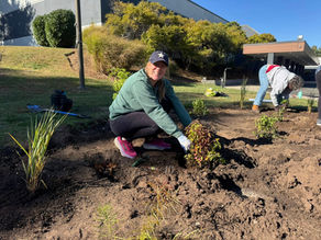 Passaic County Grows Greener with Dig In! Tree, Bulb, and Perennial Grants