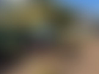 Passaic County Grows Greener with Dig In! Tree, Bulb, and Perennial Grants