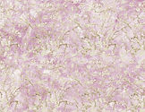 CBT01_I_I030