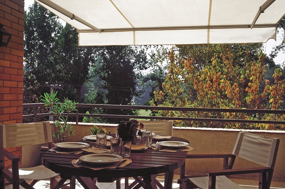 TOLDO PROYECTANTE