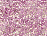 CBT01_I_I028